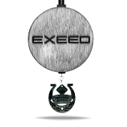 Ароматная подвеска «Exeed» в черно-белом цвете в крафтовой упаковке с мини-брелоком